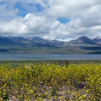 GA -- Paravani Lake