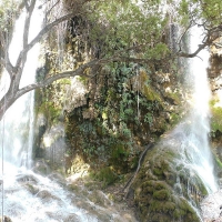 Saut-dEau