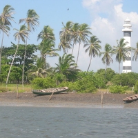 Brazil-Mandacaru