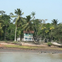 Brazil-Marajo