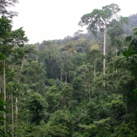 Sierra Leone tour