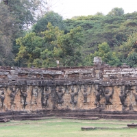 Elephant Terrace 2