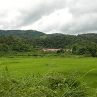 Road to Nongkiaw2
