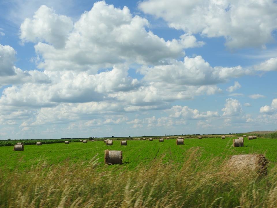 serbia-countryside