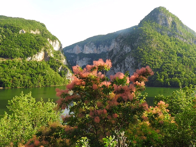 serbia-to-bosnia